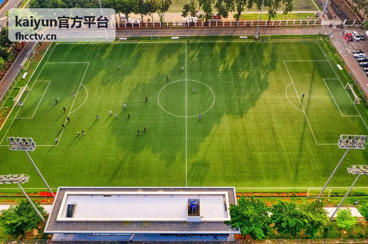 kaiyun官方平台账户安全服务密码与绑定信息管理示意